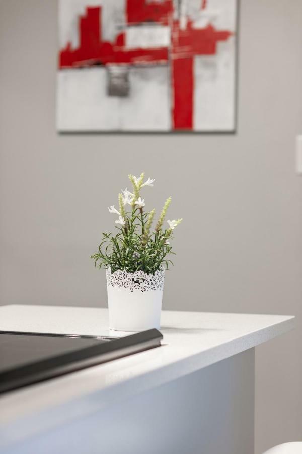Entire 2 Bedroom Apartment Uptown Waterloo - E1 Eksteriør bilde